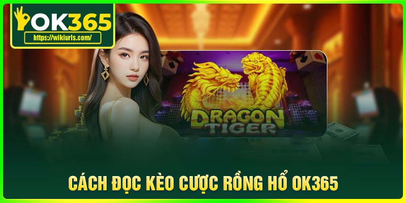 Cách đọc kèo cược Rồng Hổ OK365 dễ hiểu