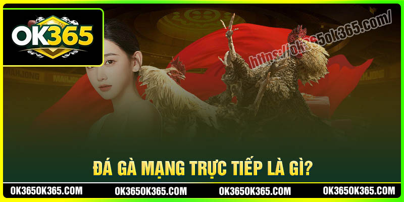 Đá gà mạng trực tiếp là gì?