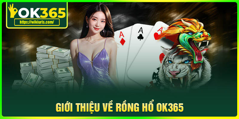 Giới thiệu về siêu phẩm Rồng Hổ OK365