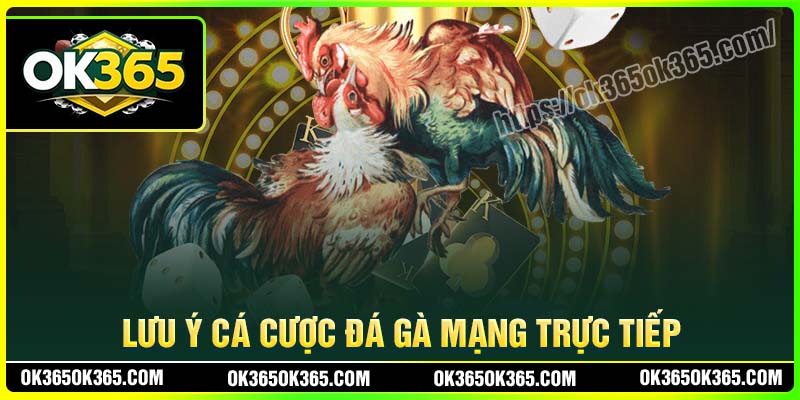 Lưu ý khi cá cược Đá gà mạng trực tiếp