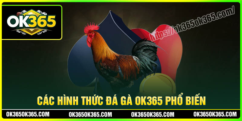 Những hình thức Đá gà OK365 thú vị cho kê thủ