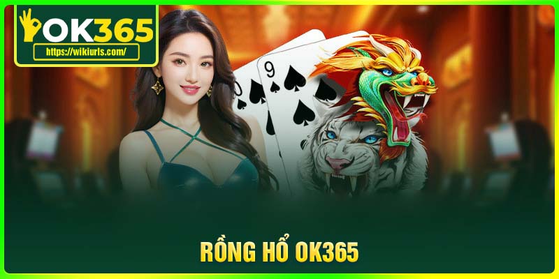 Rồng Hổ OK365 - Cơ hội kiếm tiền tuyệt vời cho bet thủ