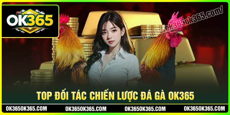 Top đối tác chiến lược với Đá gà OK365